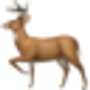 DeerFlow