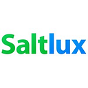 Saltlux AI