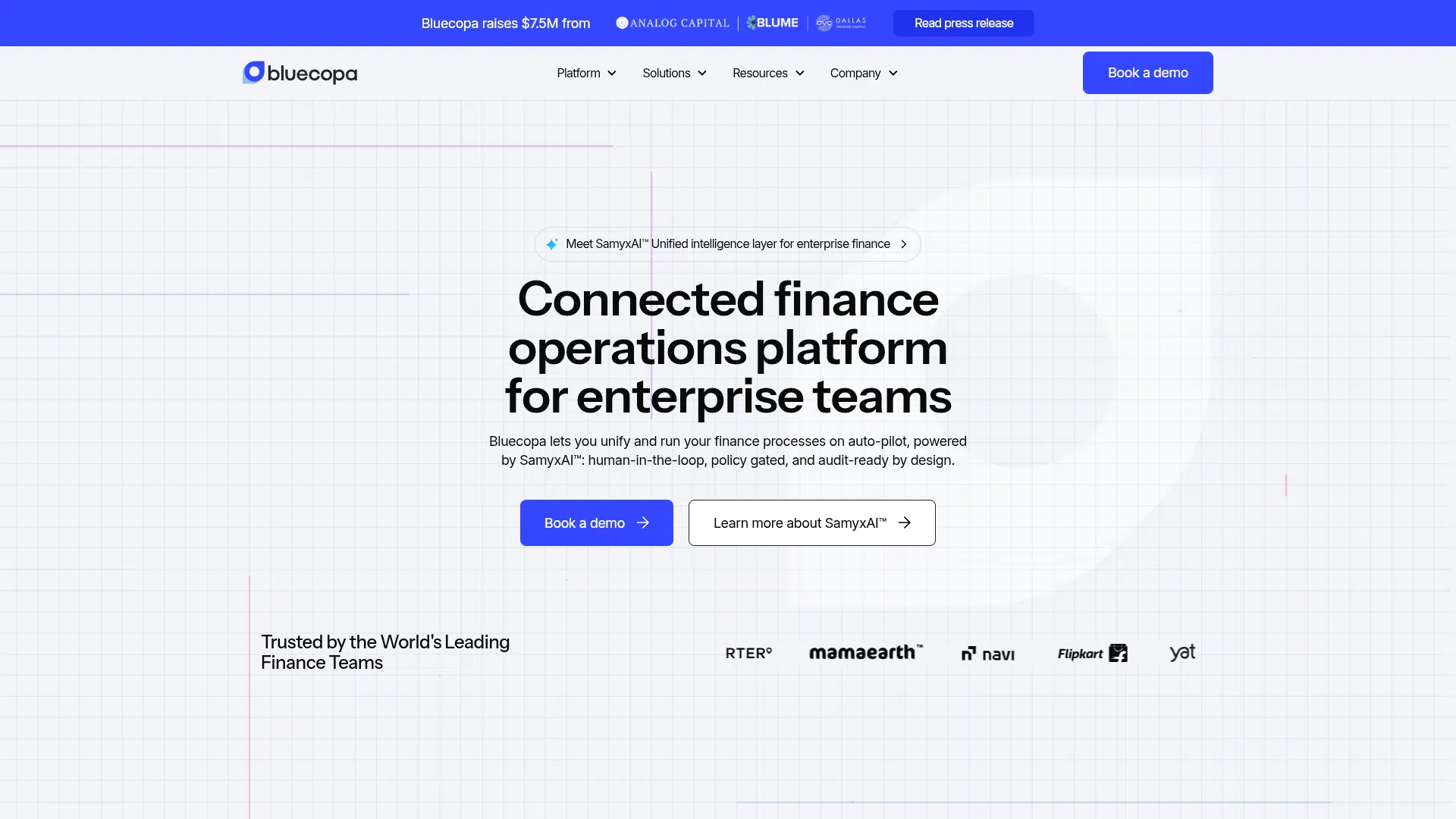 Bluecopa screenshot 1