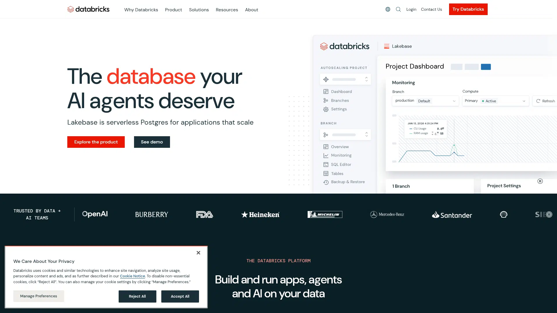 Databricks screenshot 1